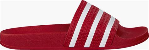 rote adidas latschen|Rote Adidas Badelatschen .